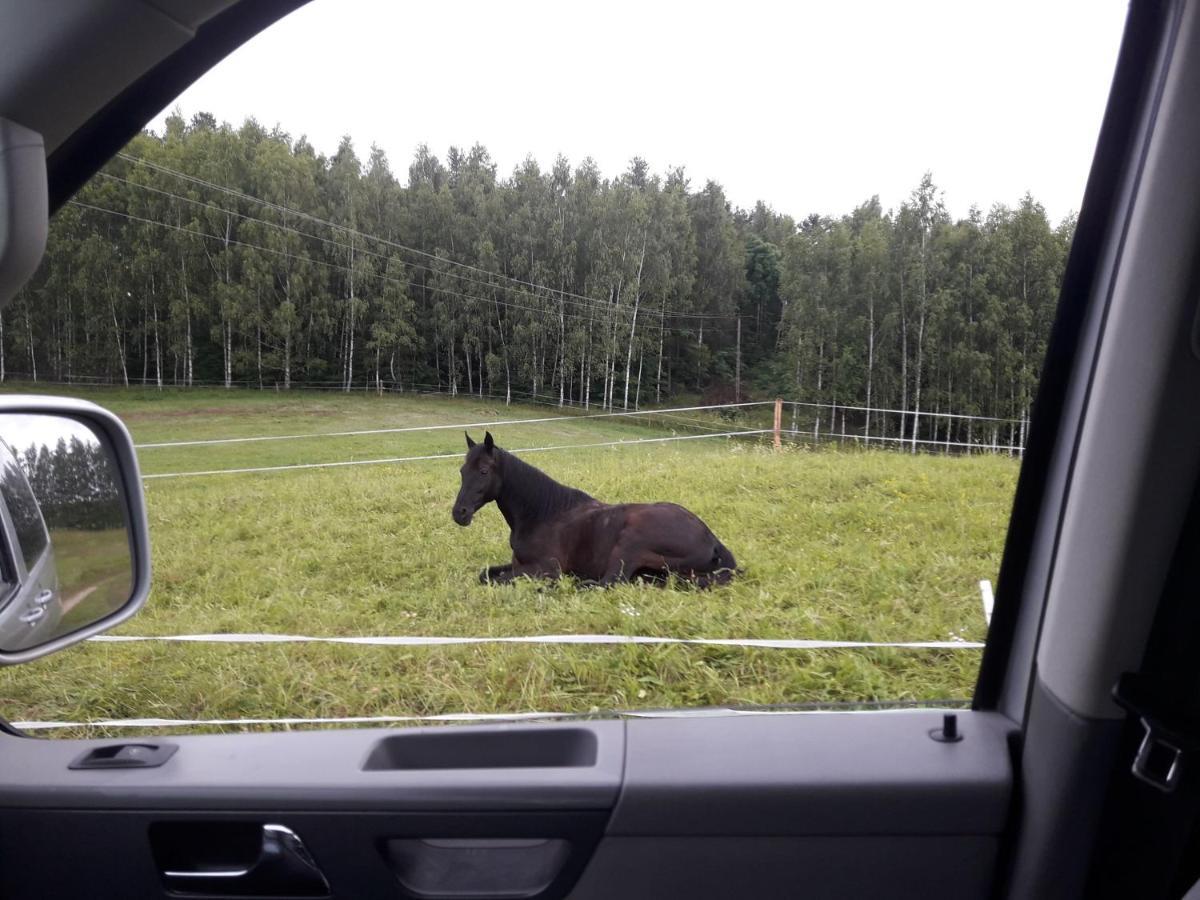 Apartamenty Lubiewo Mikołajki Esterno foto