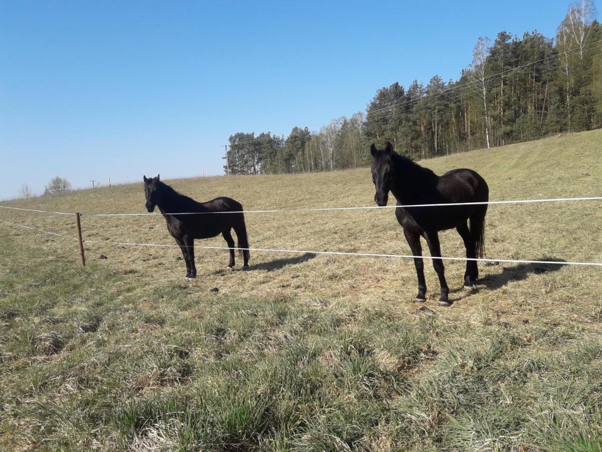 Apartamenty Lubiewo Mikołajki Esterno foto